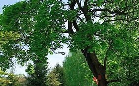 Agroturystyka Bike-Owe Ranczo Pod Klonami